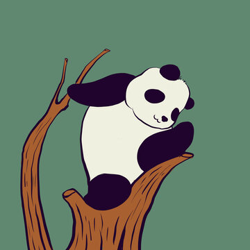 呆萌熊貓圖片