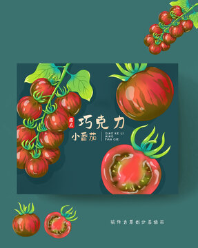 雨點(diǎn)巧克力番茄包裝插畫