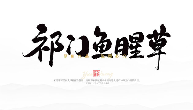 祁門魚腥草