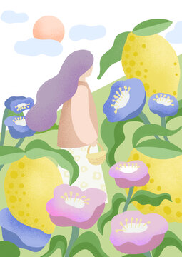 檸檬花茶包裝果茶插畫
