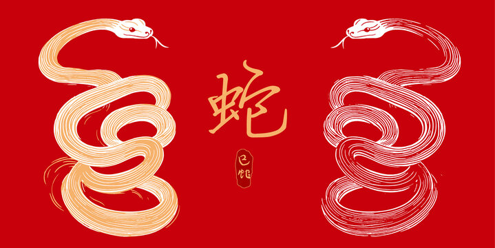 蛇年蛇生肖矢量素材