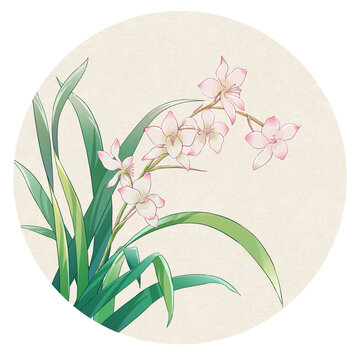 蘭花國(guó)風(fēng)插畫