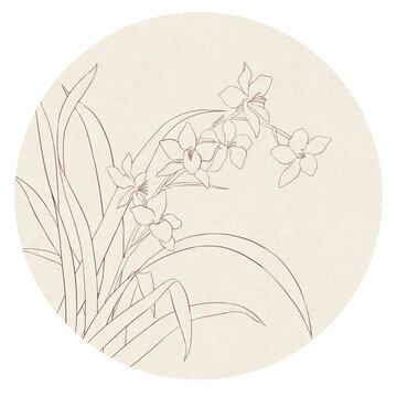 蘭花白描線稿