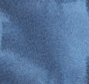 藍色毛發(fā)紋理