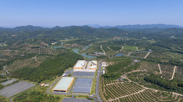 信豐縣安西鎮(zhèn)農(nóng)夫山泉基地