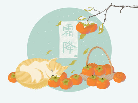 霜降之貓貓和柿子