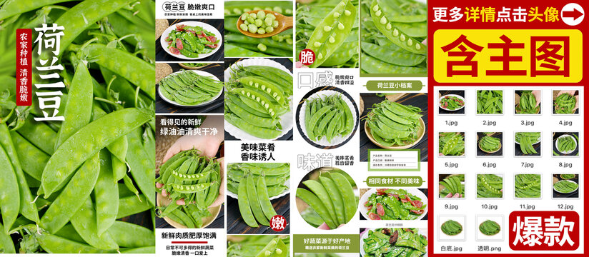 荷蘭豆詳情
