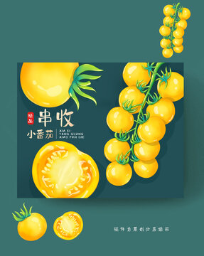 黃串收番茄包裝插畫