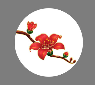 木棉花