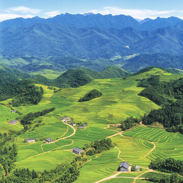 寬幅梯田風(fēng)景