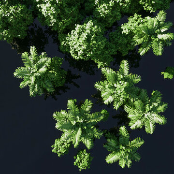 現(xiàn)代風(fēng)格植物花草