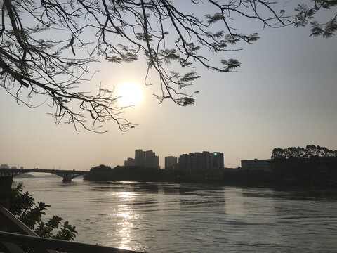 日出