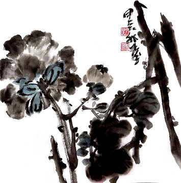寫意牡丹花