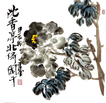寫意牡丹花