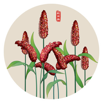 紅高粱