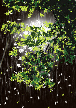 手繪下雨天夜晚路燈下的枝蔓
