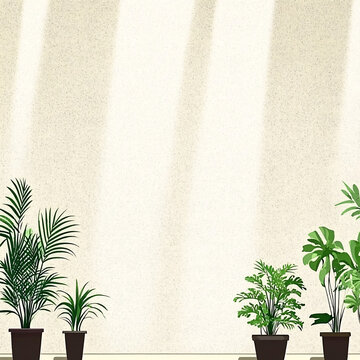 房間里的植物