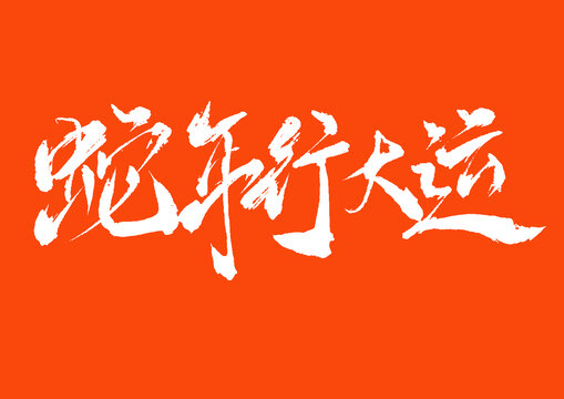 蛇年行大運