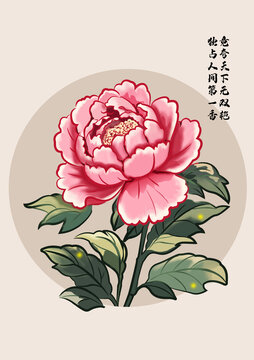 牡丹