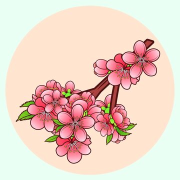 桃花