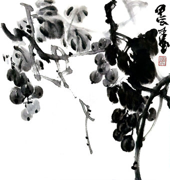 寫意葡萄裝飾畫