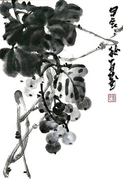 寫意葡萄裝飾畫