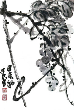 寫意葡萄裝飾畫