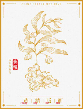 黃精版畫插畫白描