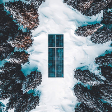 叢林雪景