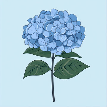 卡通繡球花