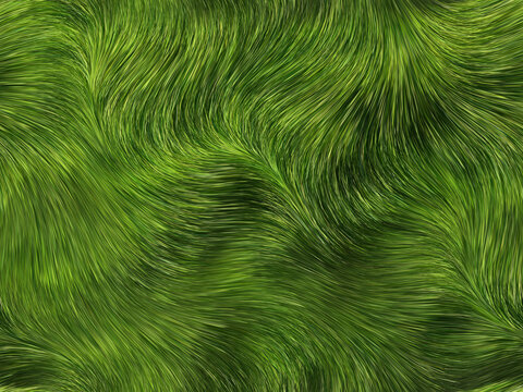 綠色線條毛發(fā)草皮綠植