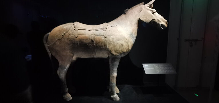 陶馬