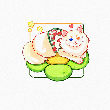 貓咪