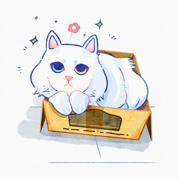 異瞳獅子貓