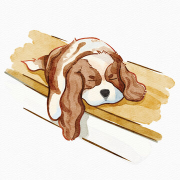 狗狗Q版查理王小獵犬