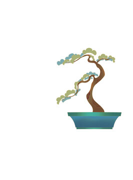 盆栽