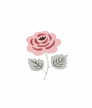 玫瑰花