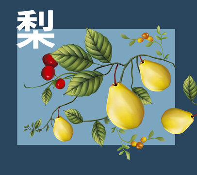 水果梨包裝設計