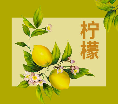 檸檬包裝設計