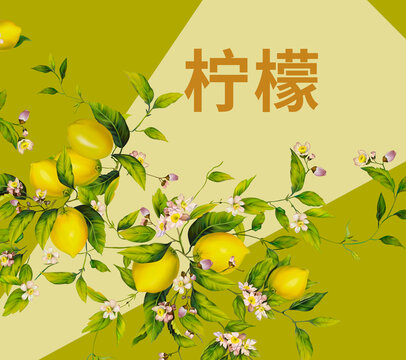 檸檬包裝設計