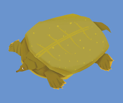 甲魚插畫高清大圖ps分層印刷