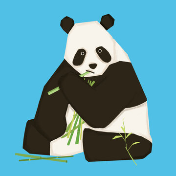 熊貓插畫高清卡通ps分層印刷