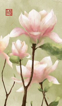 玉蘭花