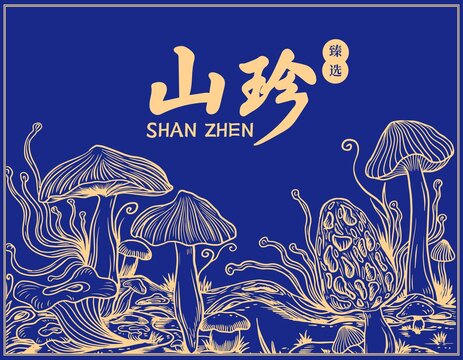 山珍菌菇禮盒插畫