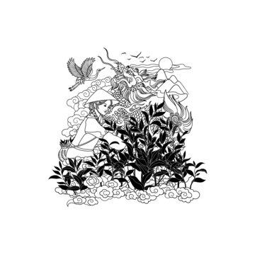 茶葉插畫(huà)