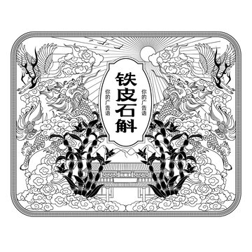 石斛手繪線描