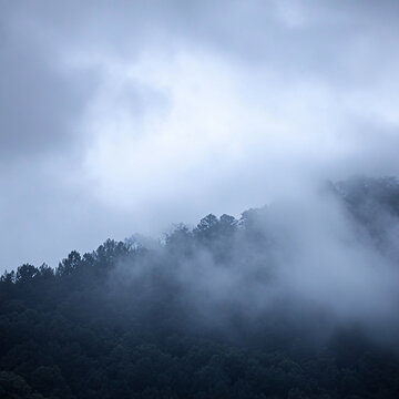 森林云霧山嵐