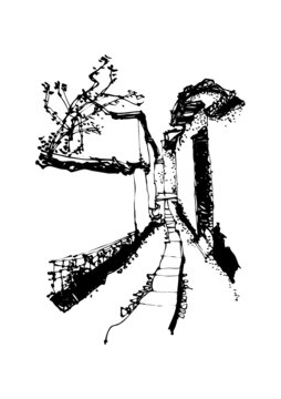 紅杏出墻石板老街線稿手繪民居