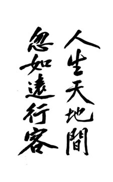 毛筆書法藝術(shù)字人生天地間