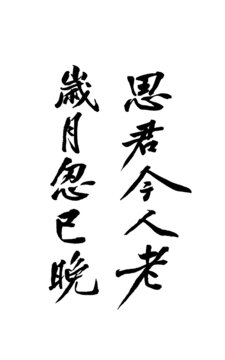毛筆書法藝術(shù)字思君今人老